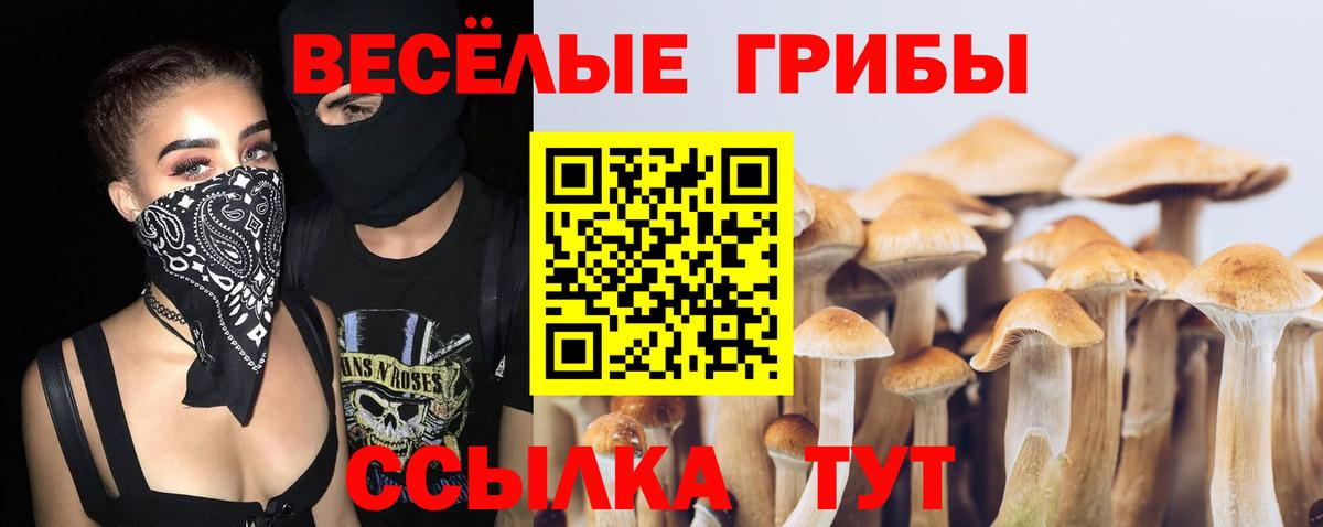 Галлюциногенные грибы Psilocybe  Вход с VPN  Мурманск 